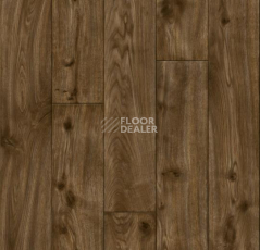 Ковролин Forbo Flotex Vision Naturals 010056 Stained Pine фото 1 | FLOORDEALER